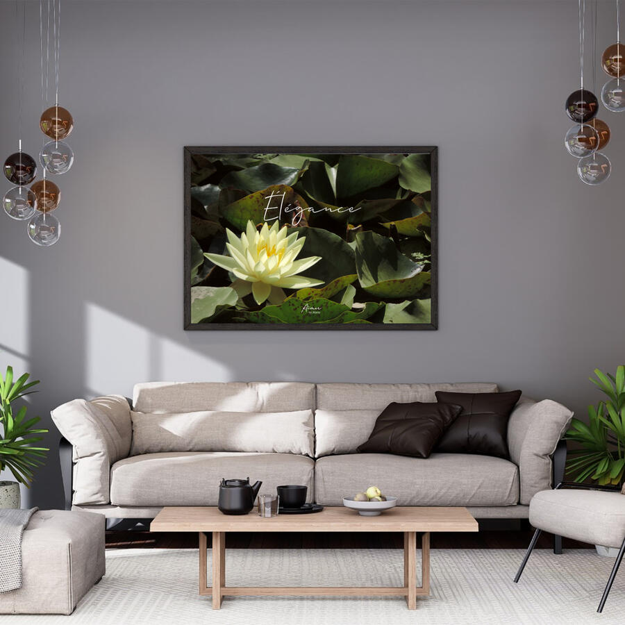 Élégance - Photos bavardes (2024)